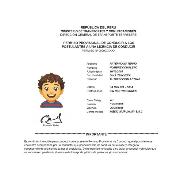 Asesoramiento para Obtener Licencia de Conducir Temporal (Permiso Provisional – 6 meses)